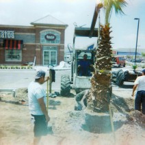 Doyle Land Systems Commercial Landscaping