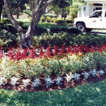 Doyle Land Systems Maintenance and Landscaping
