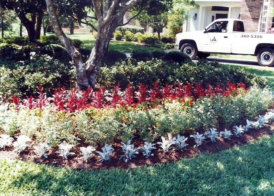 Doyle Land Systems Maintenance and Landscaping